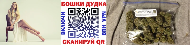 где купить наркоту  omg tor  Конопля OG Kush  Боготол 
